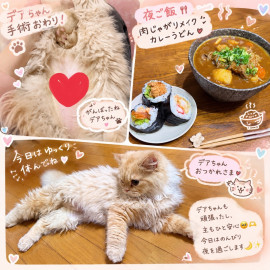 無事に！