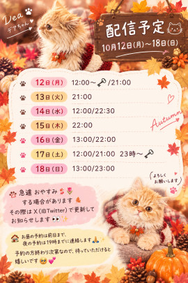 〜配信予定〜
