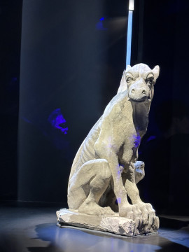 ちびありちゃんの2025/7/19 (土) 07:00のブログ