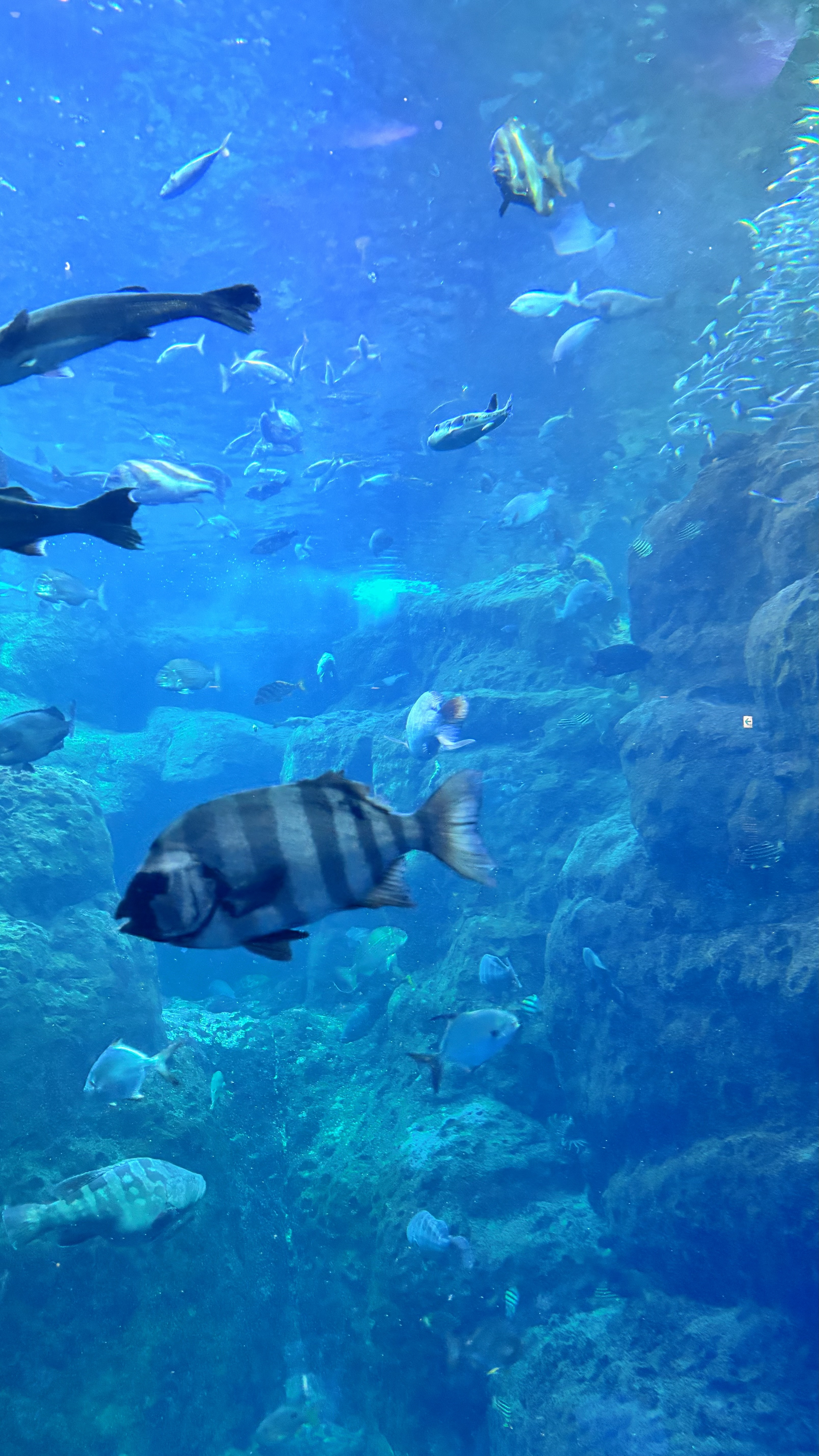 こんばんわ！平日もおわりだね！