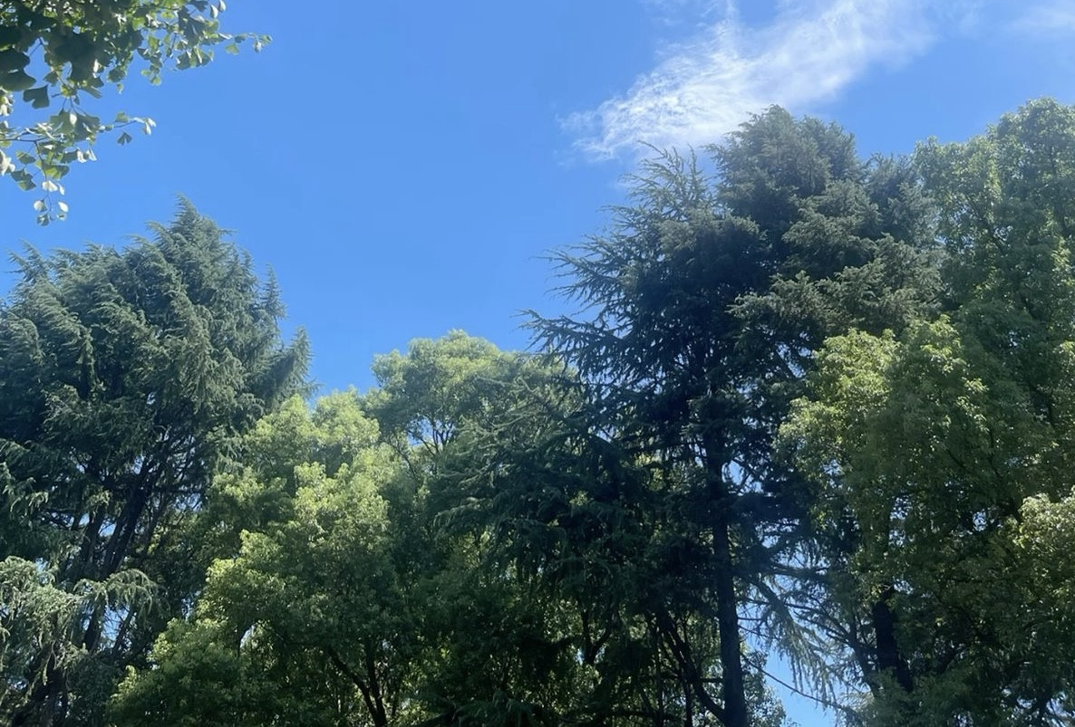 おはよーー！おひるだね?