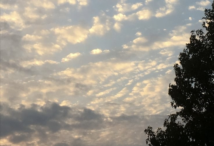 おはよ〜！この後配信だよ( *´?`*)