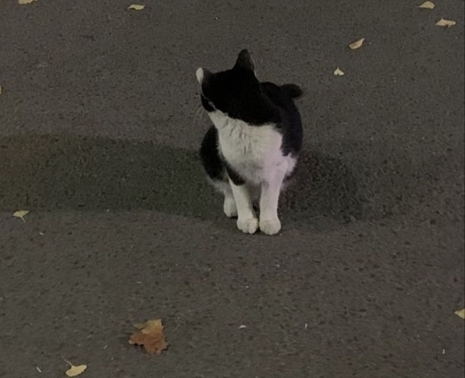 今日はありがとう〜！！