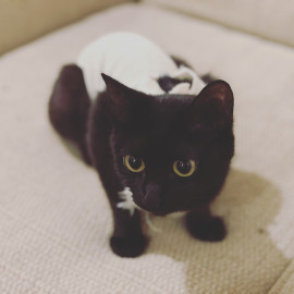 らら☆彡ちゃんの7/26 (土) 15:06のブログ