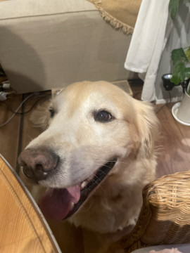 らら☆彡ちゃんの7/26 (土) 18:27のブログ