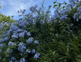 らら☆彡ちゃんの8/5 (火) 17:49のブログ