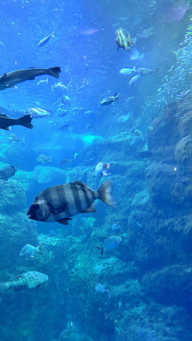 らら☆彡ちゃんの8/1 (金) 20:38のブログ