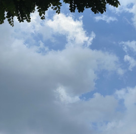 らら☆彡ちゃんの8/6 (水) 08:14のブログ