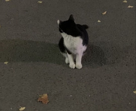 らら☆彡ちゃんの8/2 (土) 21:13のブログ