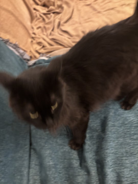 らら☆彡ちゃんの7/28 (月) 13:55のブログ