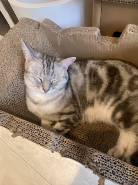 えまちゃんの2025/7/22 (火) 19:34のブログ