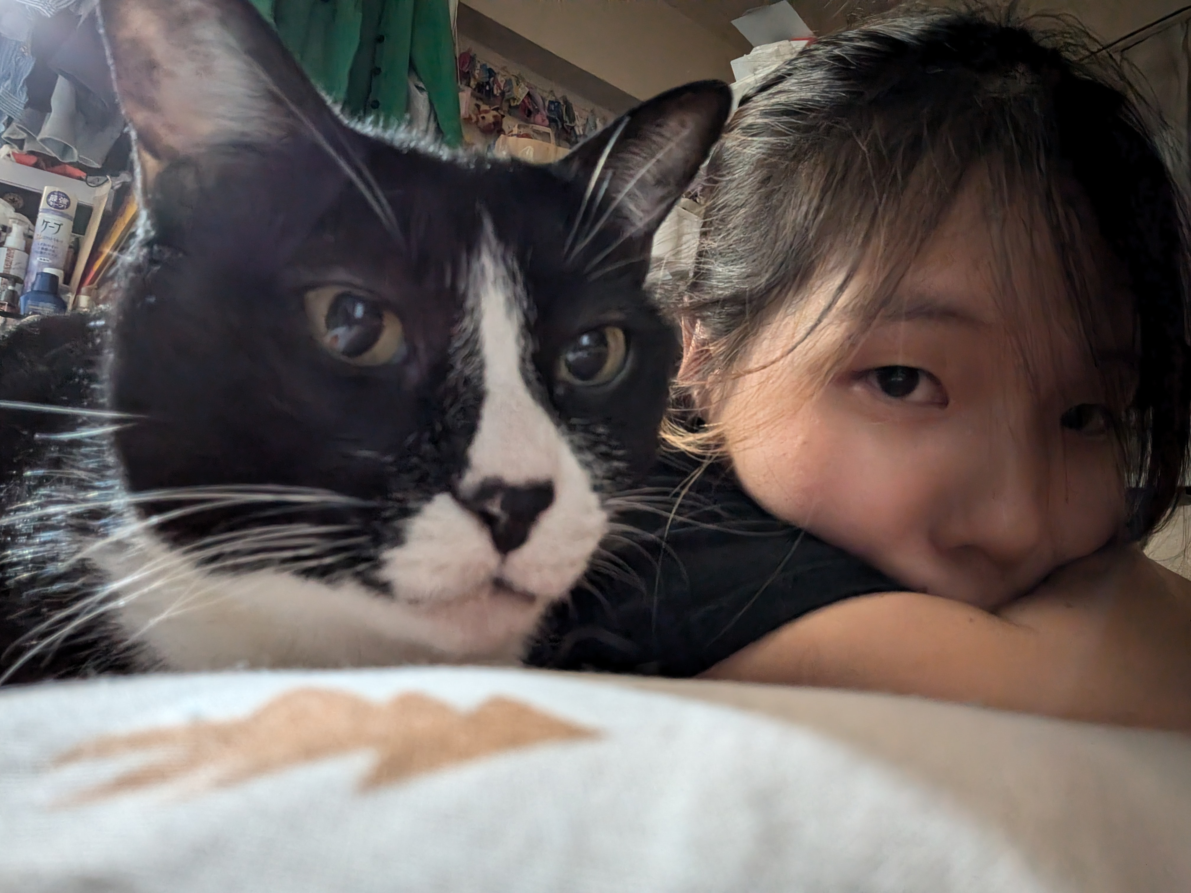 初めまして?(????)?