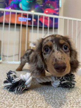 みー☻ちゃんの2025/8/6 (水) 16:51のブログ