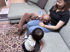 まるちゃんの2025/8/18 (月) 23:02のブログ