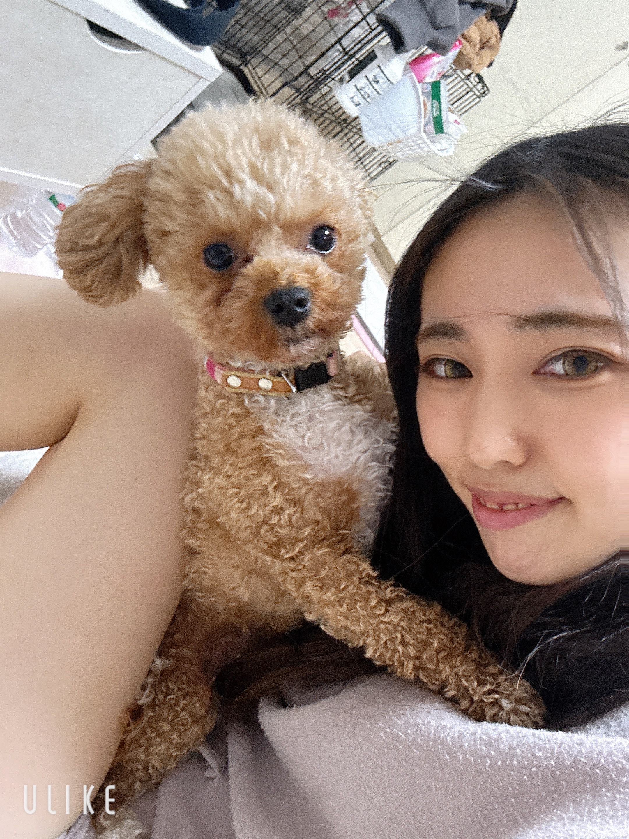 コンテスト頑張る！！