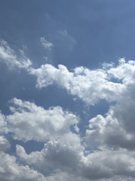 ゆずちゃんの2025/9/7 (日) 12:46のブログ