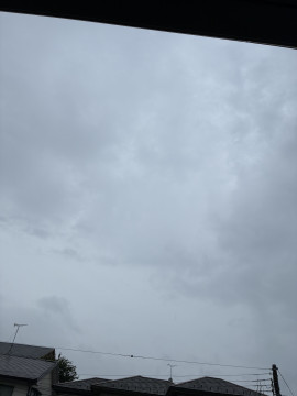 雨