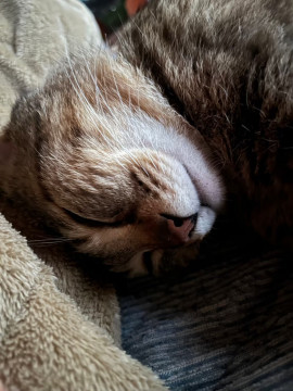 なつちゃんの2025/8/26 (火) 20:47のブログ