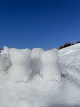 りぃこちゃんの昨日 18:27のブログ