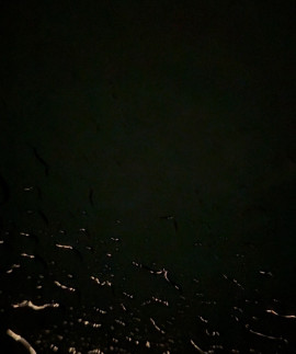 えみちゃんの9/12 (金) 20:29のブログ