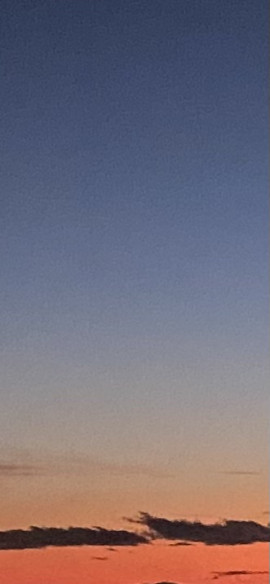 一緒に過ごす夜はいかが？?