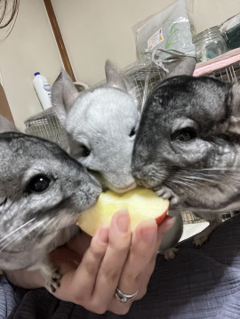 うーちゃんちゃんの2025/8/30 (土) 19:51のブログ