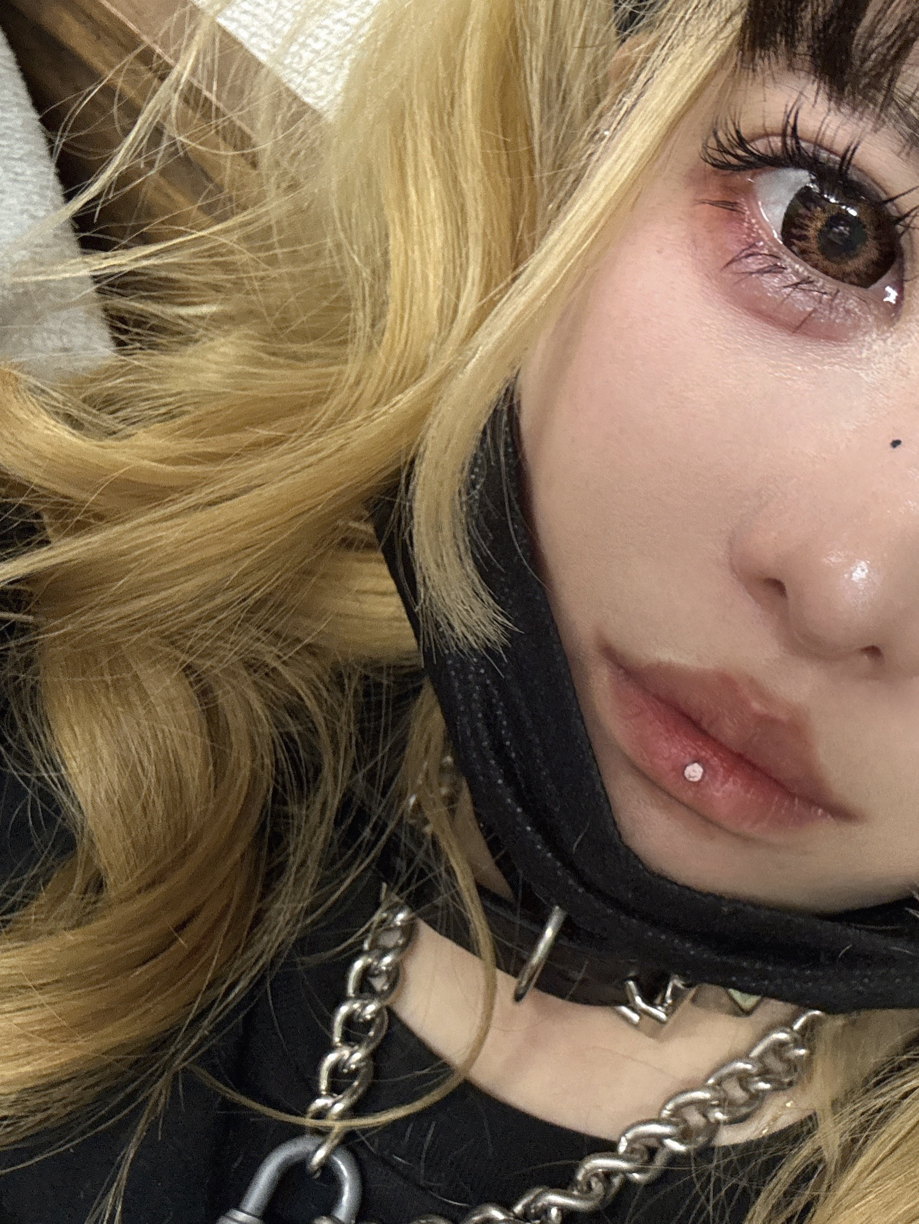 \ はじめてのブログ /