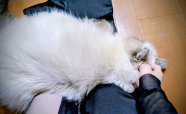 ミズキちゃんの10/22 (水) 14:59のブログ