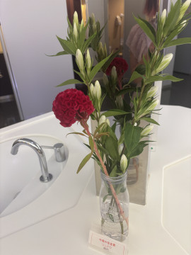 お花見るとお写真とりたくなるだいすき