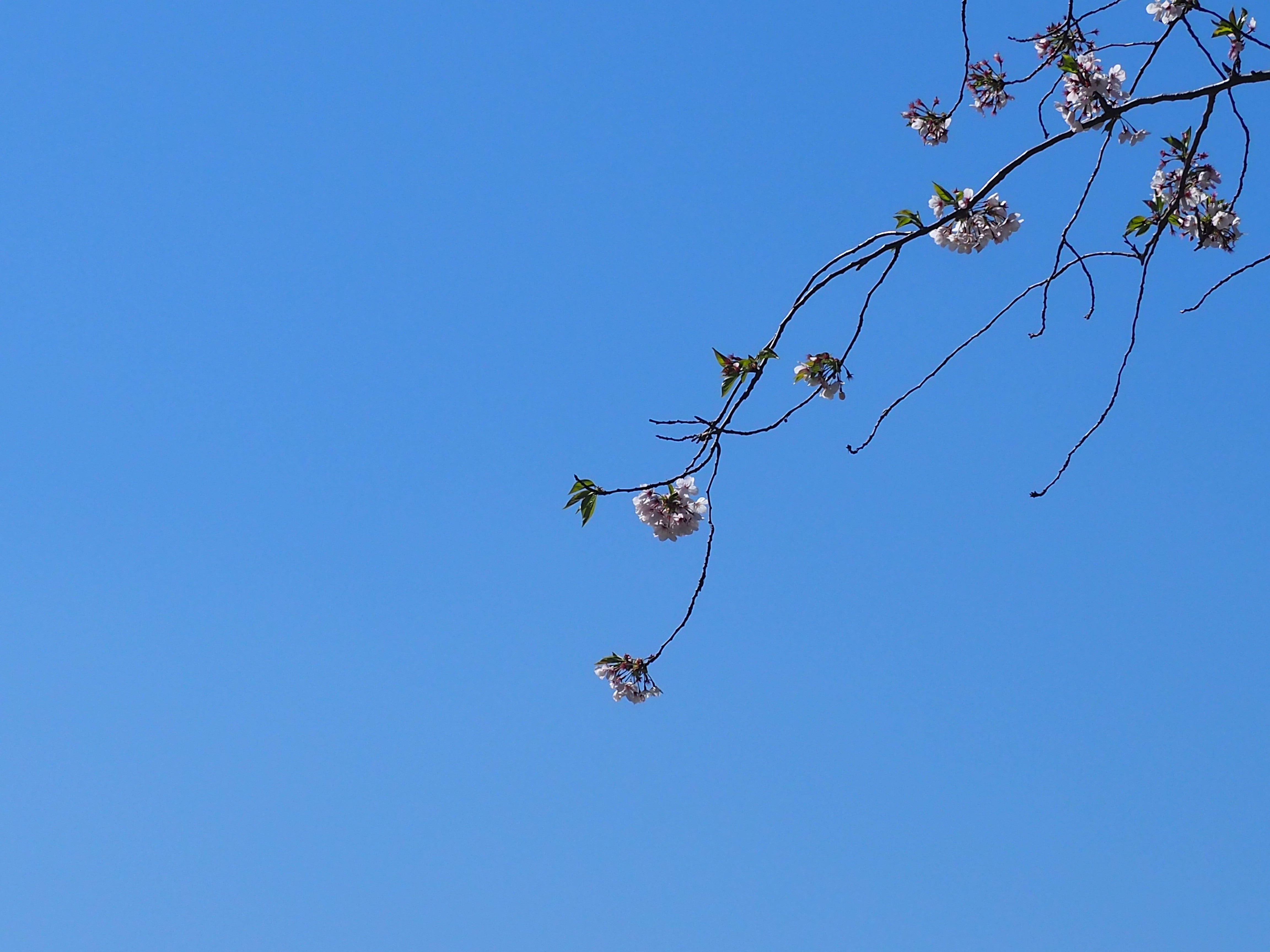 今日の21時から22時