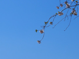 ムーミンちゃんの9/14 (日) 16:05のブログ