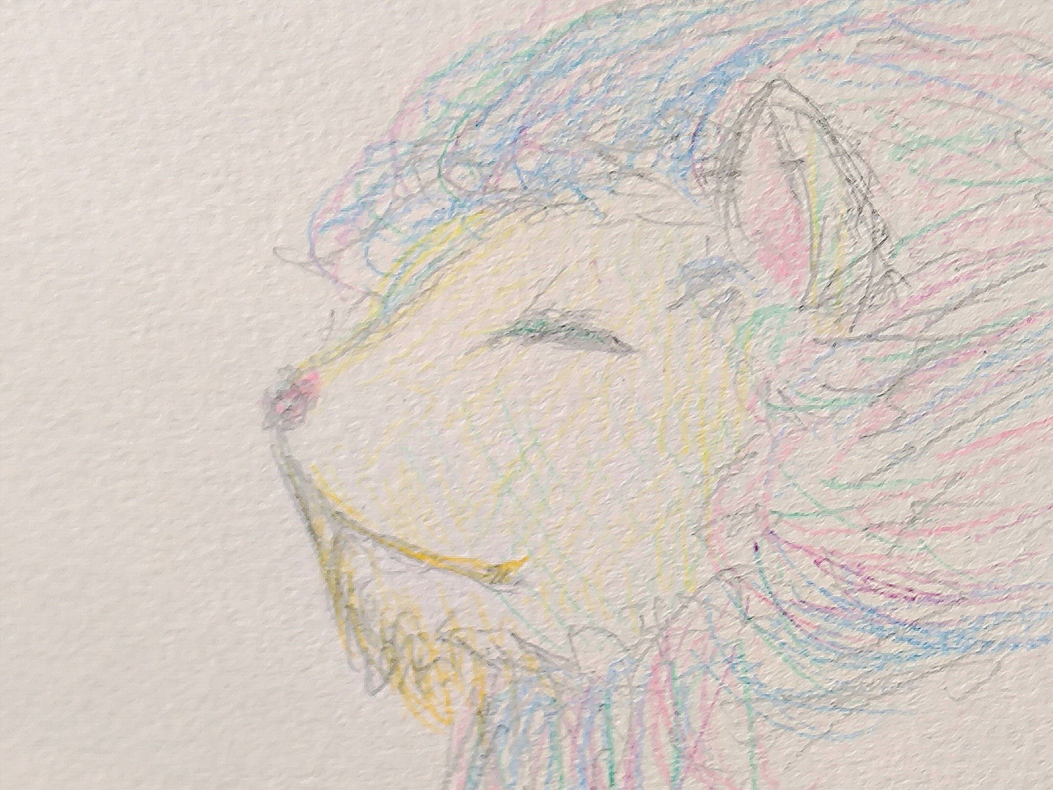 ほしうらない02