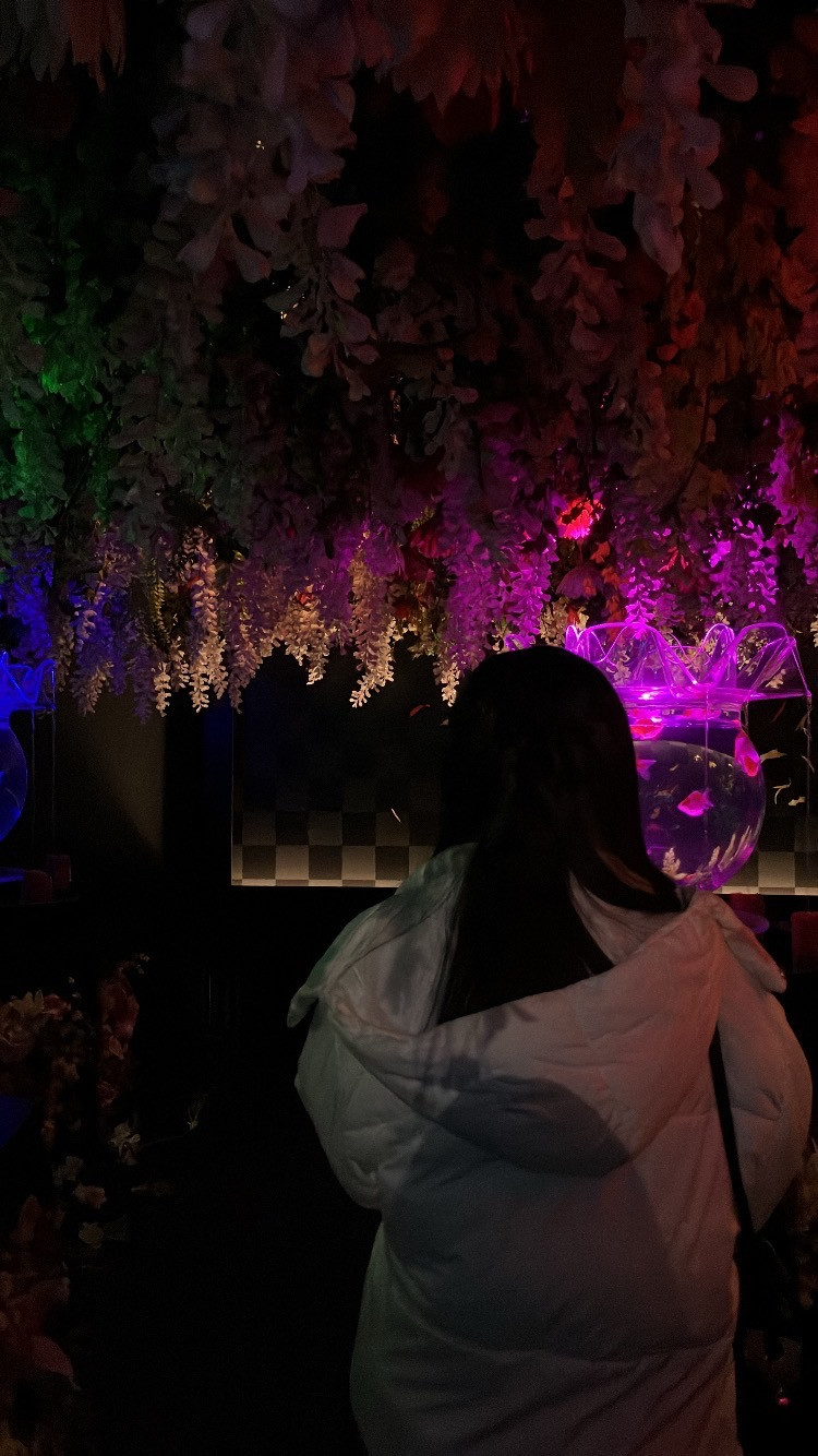 アートアクアリウム?