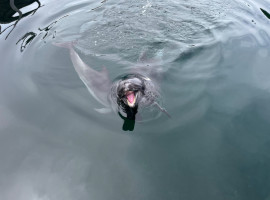 ゆりちゃんの2025/9/21 (日) 18:38のブログ