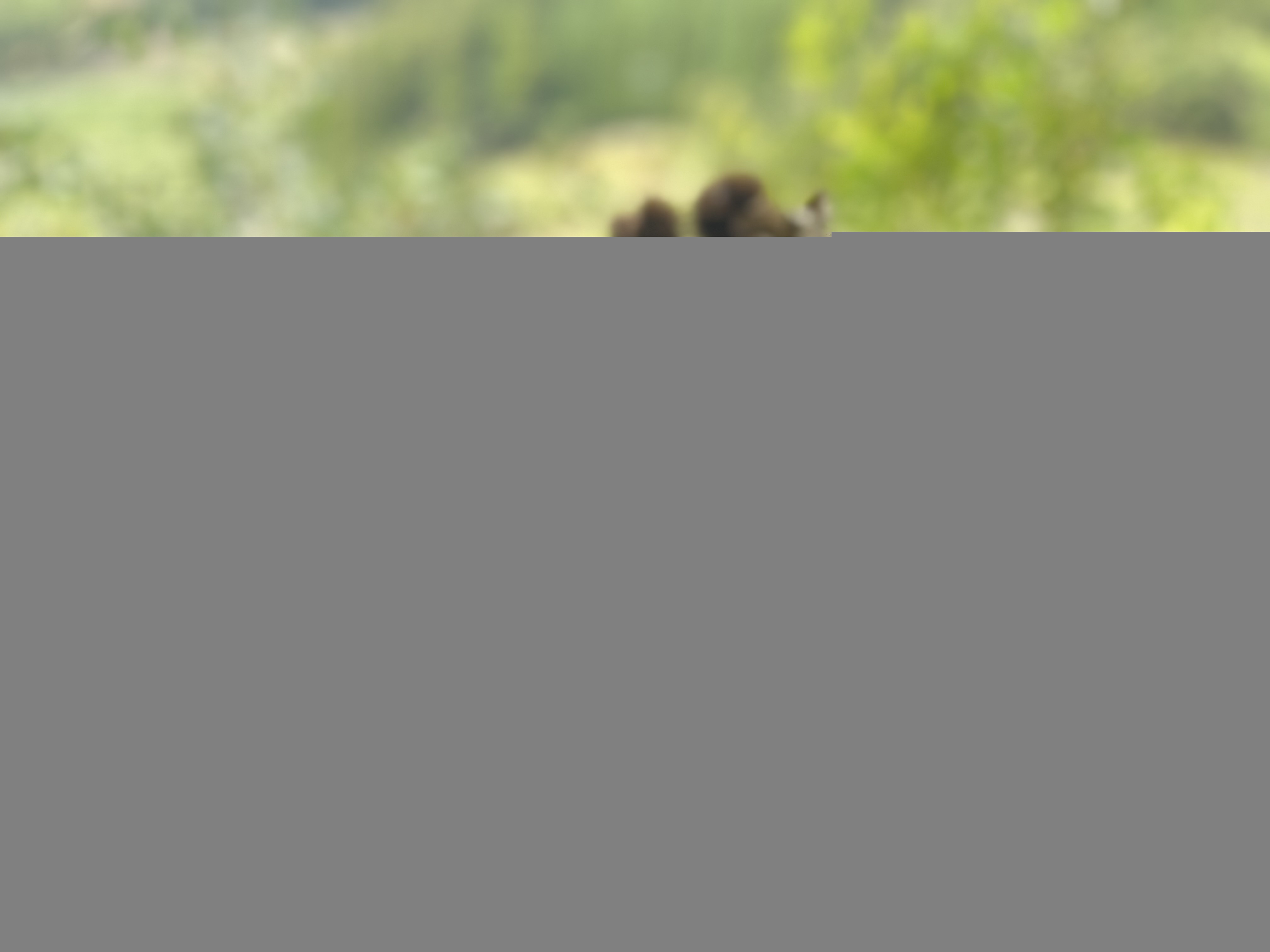 秋のドライブに行ってきました