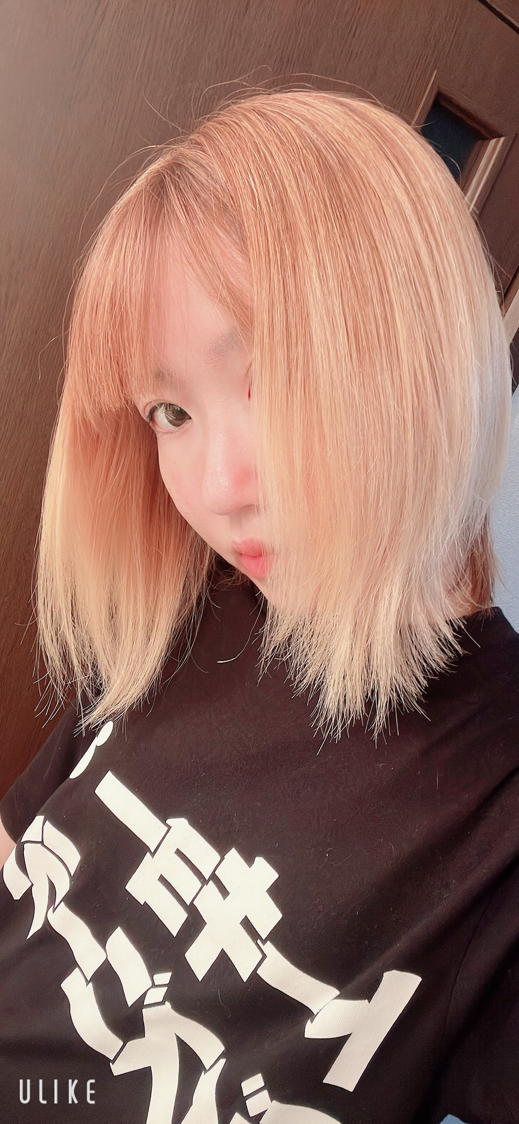 ありがとうございます