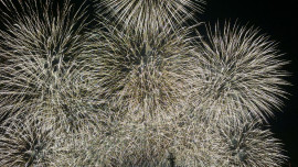 るあちゃんの2025/9/21 (日) 22:52のブログ