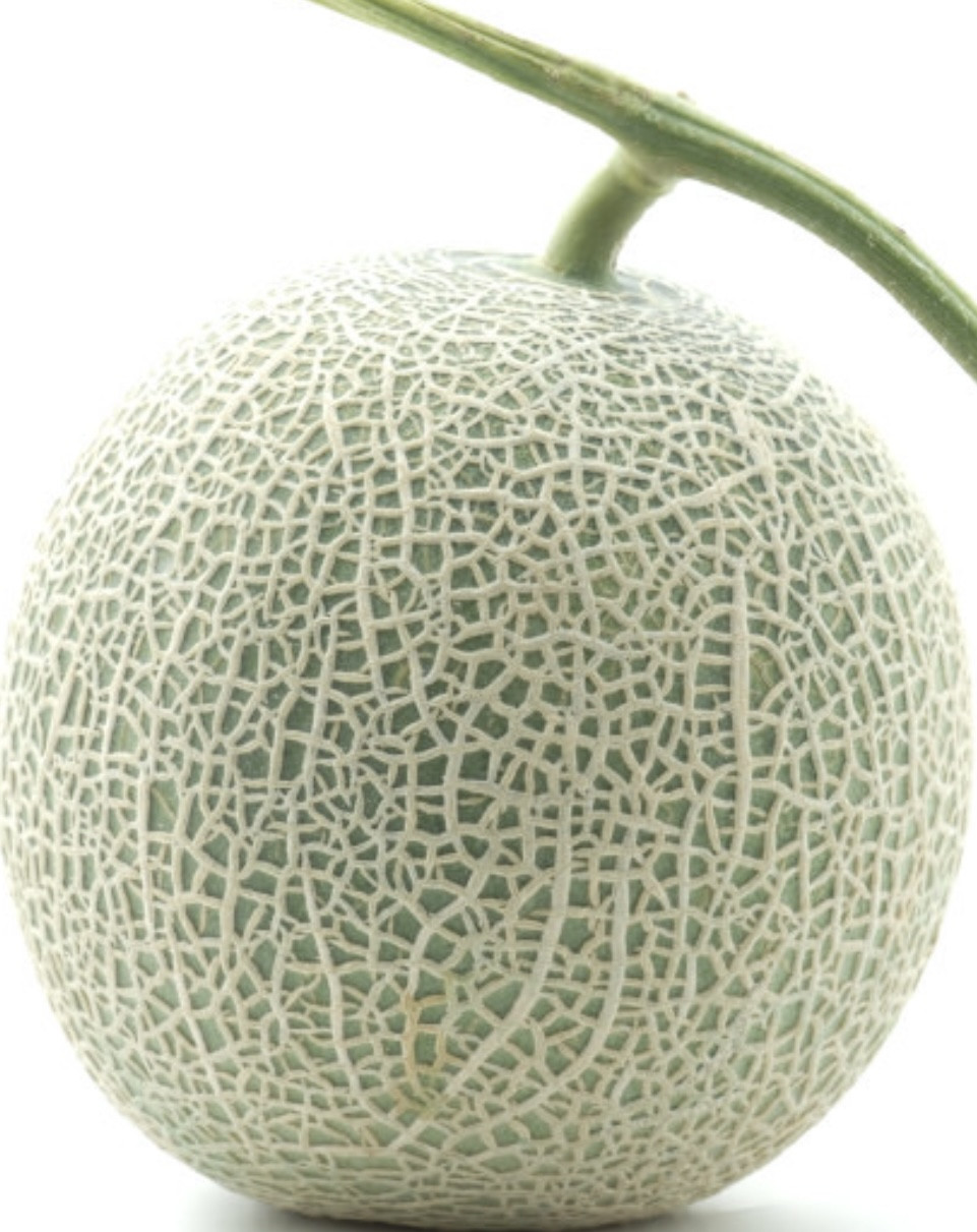 メロンです 請求書です(・∀・)