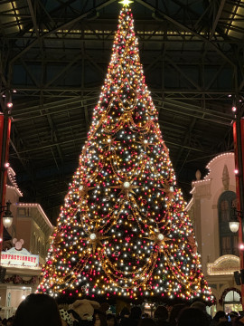 奈菜ちゃんの11/12 (水) 17:23のブログ