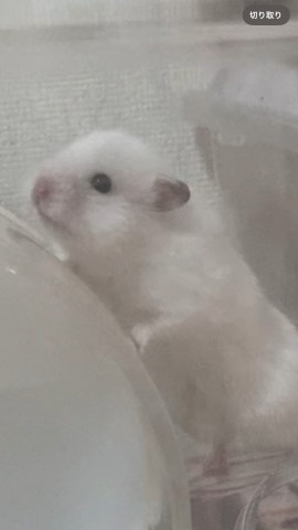 モカちゃんの11/24 (月) 19:15のブログ