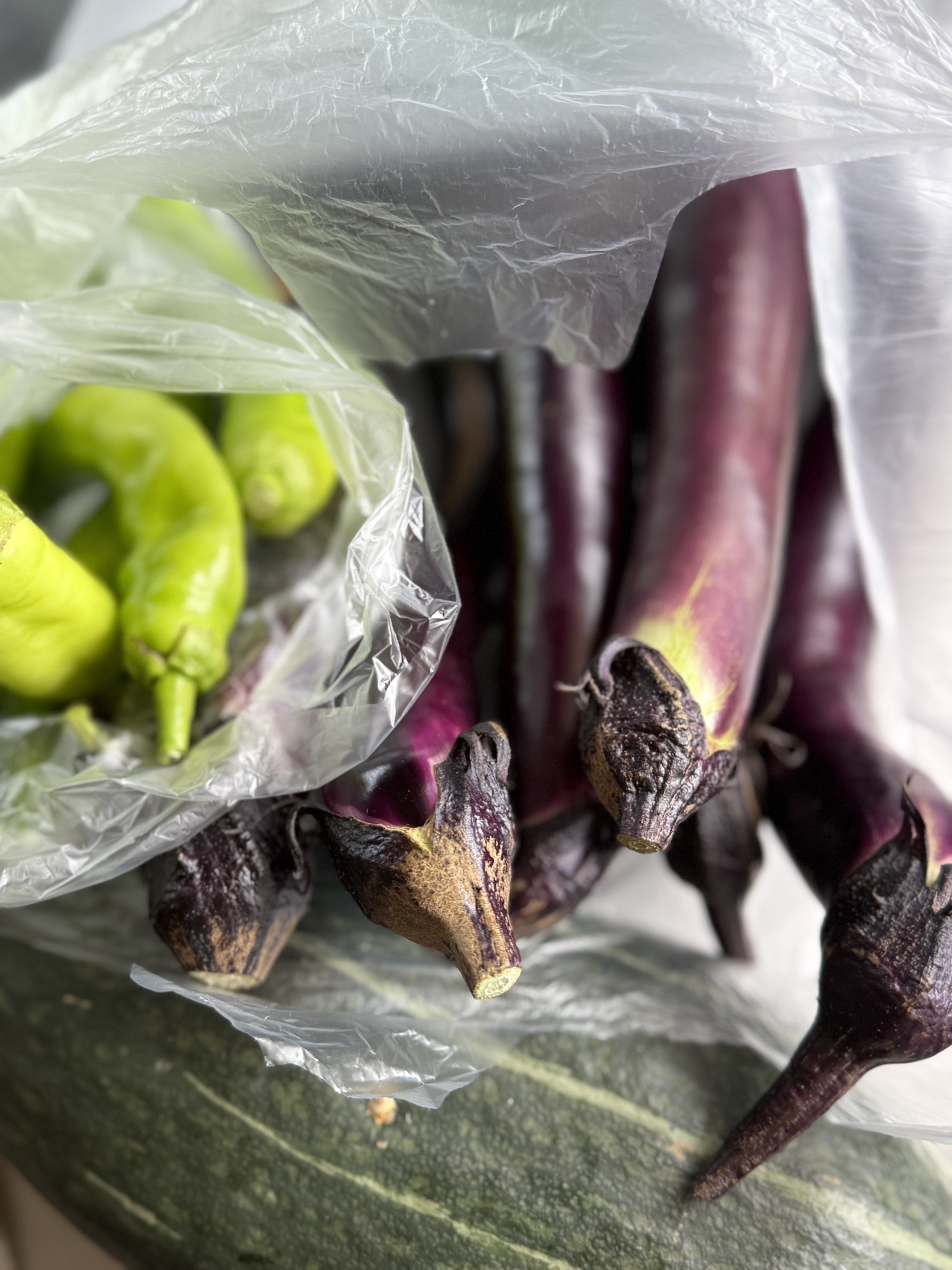 多分よくある話(｀・ω・´)