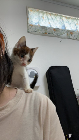 らでんちゃんの9/26 (金) 12:38のブログ