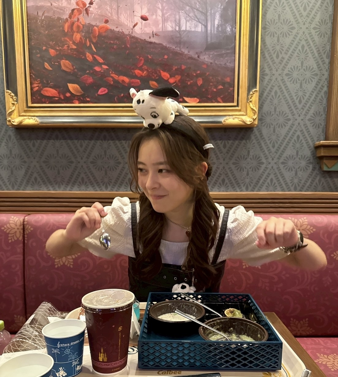 ディズニー行ったんだよ?