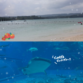 のんちゃんの10/13 (月) 05:42のブログ