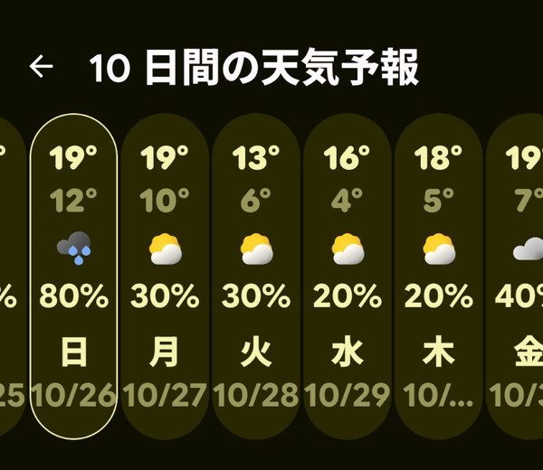 １２月並みの気温だって。