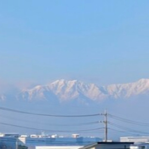 雪を被ると更に綺麗?