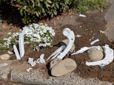 はじめての投稿なのに・・・