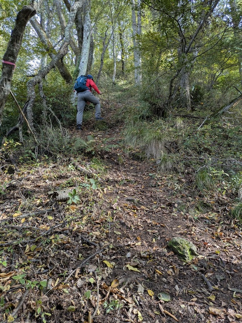 登山して筋肉痛と疲れが酷くて（汗）