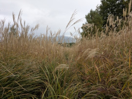 はるちゃんの10/6 (月) 07:26のブログ