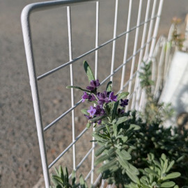 はるちゃんの10/31 (金) 21:47のブログ